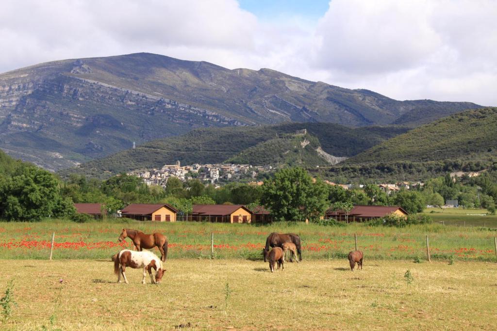 فندق Wecamp Pirineos بولتانا المظهر الخارجي الصورة